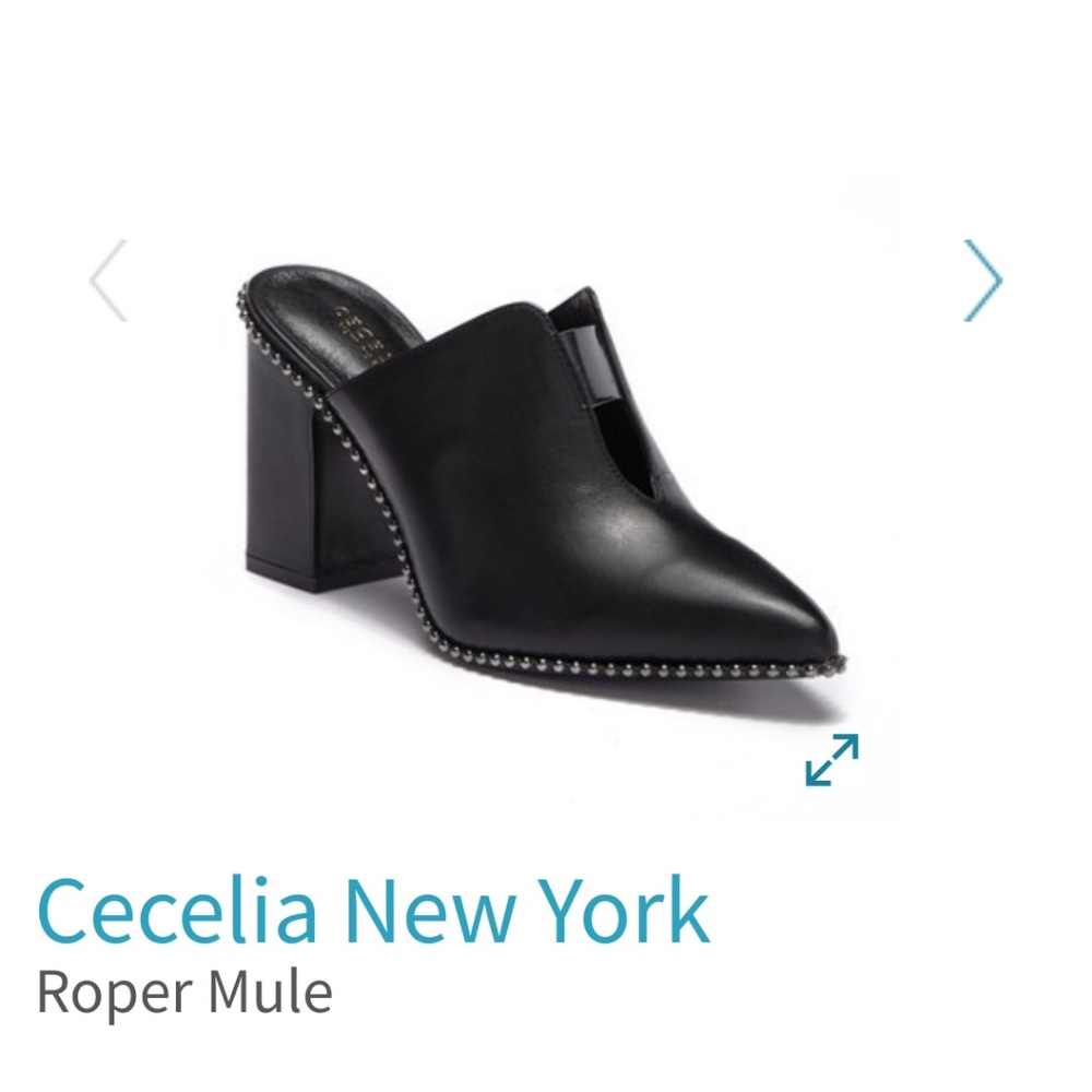 Cecelia New york leather mules